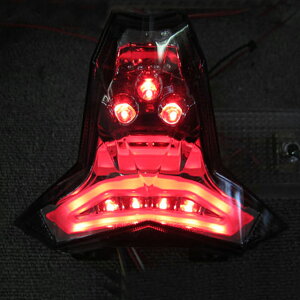 ZX-10Ri16Nj CeO[gEe[CgiEBJ[j ODAXiI_bNXj