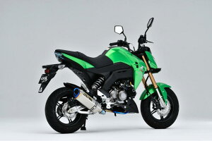 Z125PROivj TT-Formula RS t`^}t[ OVERiI[o[[VOj