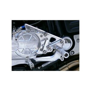 BACK-STEP 4|WVTYPE2 OVER RACINGiI[o[[VOj V-MAX1200