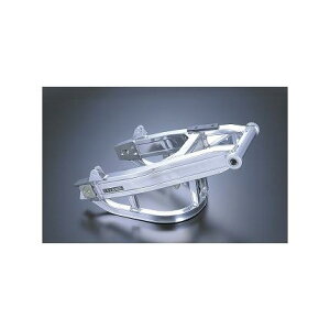 XCOA[ TYPE8 OVER RACINGiI[o[[VOj XJR1300i00`06NA07N`j