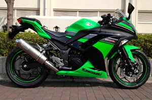G{[VtGL][Xg }t[ PENSKEiyXPj Ninja250ijWj13`17N