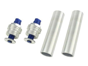 [t@[400/ԁi`96Nj CjVAWX^[TYPE2 u[ POSHi|bVj