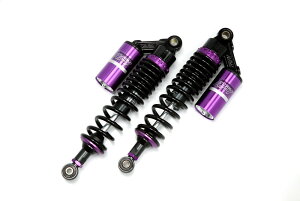 CB1000SF BIG-1 ubN/p[vAVbN RFYiA[GtCj