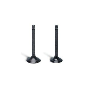 L[iMONKEYj{AAbv SP샌M[wbh{AAbvpX^_[h^CvouZbg