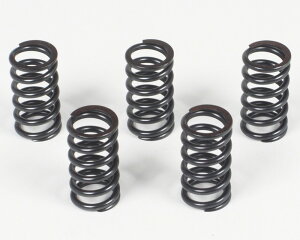 CRF250M �����N���b�`�X�v�����O�Z�b�g�i5�j SP����iTAKEGAWA�j