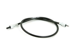 L[iMONKEYj OXs[h[^[P[ui670mmj SPiTAKEGAWAj