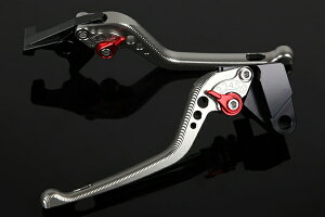 DUCATI 1199 Panigale �A�W���X�g���o�[�Z�b�g 3D ���o�[�F�`�^�� SSK SPEEDRA�i�X�s�[�h���j