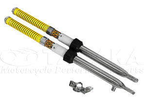 5LL[iMONKEYj Ci[tH[N m[} c