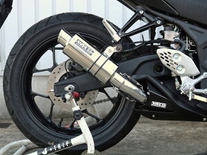 YZF-R25 XeXV[gI[o XbvI}t[ WR'Si_uA[Yj