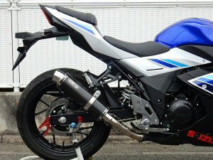 GSX250Ri2BK-DN11Aj GL][Xg Eh^Cv iXeX/J[{jXbvI}t[ {F WR'Si_uA[Yj