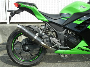 Ninja250/ABSiJBK-EX250Lj Eh^Cv XbvI}t[ XeX/J[{iJMCAF؁j WR'Si_uA[Yj
