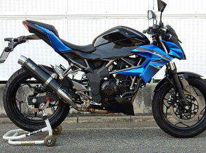 Z250SL AGL][Xg Eh^CviXbvI}t[jXeX/J[{ WR'Si_uA[Yj