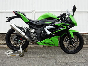 Ninja250SLijWj AGL][Xg}t[ Eh XeX WR'Si_uA[Yj