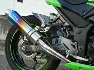 Ninja250/ABSiJBK-EX250Lj Eh^Cv XbvI}t[ XeX/ĂF`^iJMCAF؁j WR'Si_uA[Yj