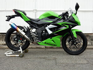 Ninja250SLijWj AGL][Xg}t[ Eh ĂF`^ WR'Si_uA[Yj
