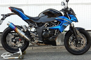 Z250SL AGL][Xg Eh^CviXbvI}t[jXeX/ĂF`^ WR'Si_uA[Yj