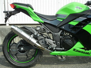 Ninja250/ABSiJBK-EX250Lj Eh^Cv XbvI}t[ XeX/`^iJMCAF؁j WR'Si_uA[Yj