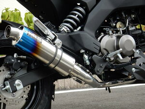 Z125 PROivj V[gI[o `^}t[ ĂF^Cv tGL][Xg JMCAF WR'Si_uA[Yj