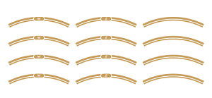 W800 NEO CLASSICXebJ[ PF  WORLD WALKi[hEH[Nj