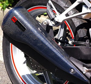 CBR250RiMC41j J[{}t[K[h WORLD WALKi[hEH[Nj