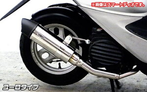 ディオ(Dio)AF61・AF67 ロイヤルマフラー ユーロタイプ ステンレス ウイルズウィン(WirusWin)
