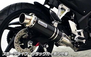 CB250Fi14N`j _Ci~bN}t[ X|[c^Cv ubNJ[{dl ECYEBiWirusWinj