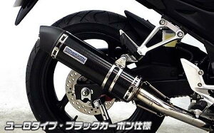 CB250Fi14N`j _Ci~bN}t[ [^Cv ubNJ[{dl ECYEBiWirusWinj