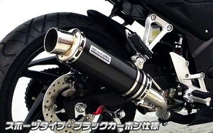 CB250Fi14N`j XbvI}t[ X|[c^Cv ubNJ[{dl ECYEBiWirusWinj