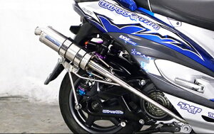 �V�O�i�XX�iCYGNUS-X�j1�^ FP4 ST���[�V���O�}�t���[ �E�C���Y�E�B���iWirusWin�j