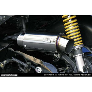 �T�C�����T�[�^�G�A�N���[�i�[�L�b�g�X�|�[�c�^�C�v �E�C���Y�E�B���iWirusWin�j �V�O�i�XZ�iCYGNUS-Z�j�L���u��