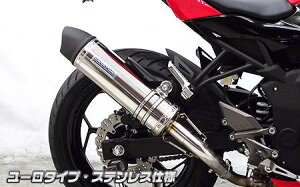 Ninja250SLijW250SLj XbvI}t[ [^Cv XeX ECYEBiWirusWinj