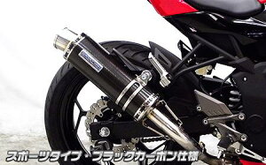 Ninja250SLijW250SLj XbvI}t[ X|[c^Cv ubNJ[{dl ECYEBiWirusWinj