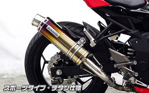 Ninja250SLijW250SLj XbvI}t[ X|[c^Cv `^dl ECYEBiWirusWinj