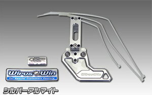 APE50�i�G�C�v50�j �`�F�[���K�[�h �V���o�[�A���}�C�g�d�l �E�C���Y�E�B���iWirusWin�j