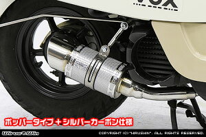 {bNXiVOXjSA31J t@bg{o[}t[ Vo[J[{dl |bp[^Cv ECYEBiWirusWinj