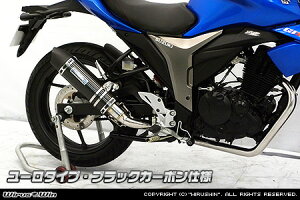 GIXER(ジクサー)2BK-NG4BG ダイナミックマフラー フルエキゾースト ユーロタイプ ブラックカーボン ウイルズウィン(WirusWin)
