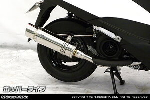 ANVXZiAXIS Zj2BJ-SED7J C}t[ |bp[^Cv XeX ECYEBiWirusWinj