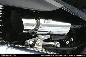 tHc@iFORZAjMF10 TCT[^GAN[i[Lbg |bp[ ECYEBiWirusWinj