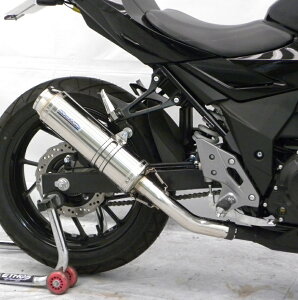 GSX250Ri2BK-DN11Aj XbvI}t[oY[J[^Cv XeX ECYEBiWirusWinj