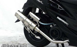 XEBbVi2BJ-DV12Bj C}t[ oY[J[^Cv XeX ECYEBiWirusWinj