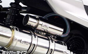 �V�O�i�XX�i3�^�jSE44J�i1YP�j �u���[�U�[�L���b�`�^���N �|�b�p�[�^�C�v �E�C���Y�E�B���iWirusWin�j