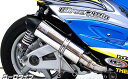 シグナスX（3型）SE44J（1YP） ショットマフラー ユーロタイプ ステンレス ウイルズウィン（WirusWin）