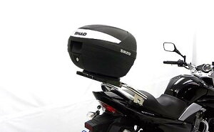 GSR250iJBK-GJ55Dj SHADA{bNXt ^fo[ ECYEBiWirusWinj