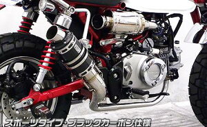 L[125i2BJ-JB02j V[g}t[ X|[c^Cv ubNJ[{dl ECYEBiWirusWinj