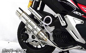 ADV150 C}t[ |bp[^Cv ECYEBiWirusWinj