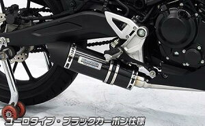 CB250Ri2BK-MC52j _Ci~bN}t[ [^Cv tGL][Xg ubNJ[{dl ECYEBiWirusWinj