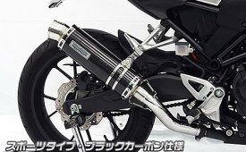 CB250R（2BK-MC52） スリップオンマフラー スポーツタイプ ブラックカーボン仕様 ウイルズウィン（WirusWin）