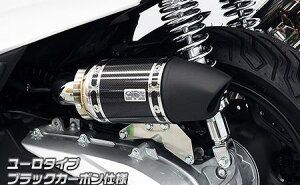 PCX125(2BJ-JK05) サイレンサー型エアクリーナーキット ユーロタイプ ブラックカーボン仕様 ウイルズウィン(WirusWin)