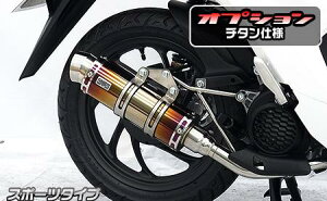 Dio110(ディオ110)2BJ-JK03 ロイヤルマフラー スポーツタイプ チタン仕様 ウイルズウィン(WirusWin)