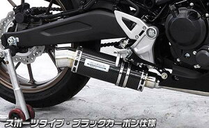 CB250Ri8BK-MC52j _Ci~bN}t[ X|[c^Cv ubNJ[{ tGL][Xg ECYEBiWirusWinj